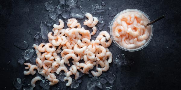 chilled-prawns-in-brine